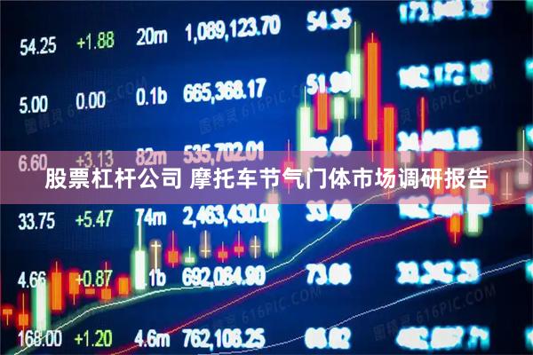 股票杠杆公司 摩托车节气门体市场调研报告